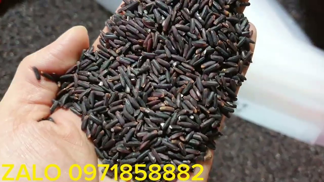 Gạo Lứt Đỏ Dẻo - Tìm Hiểu Về Nguồn Thực Phẩm Dinh Dưỡng Tuyệt Vời
