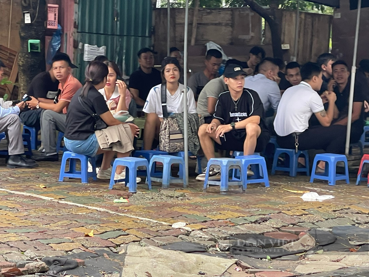 Lao động Việt tại Hàn Quốc: Câu chuyện của những người đi làm nông