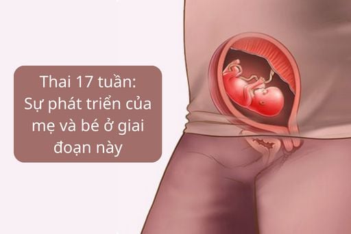 Tình Trạng Giới Trẻ Nhật Bản Nghỉ Việc Sớm: Xu Hướng Đáng Lo Ngại