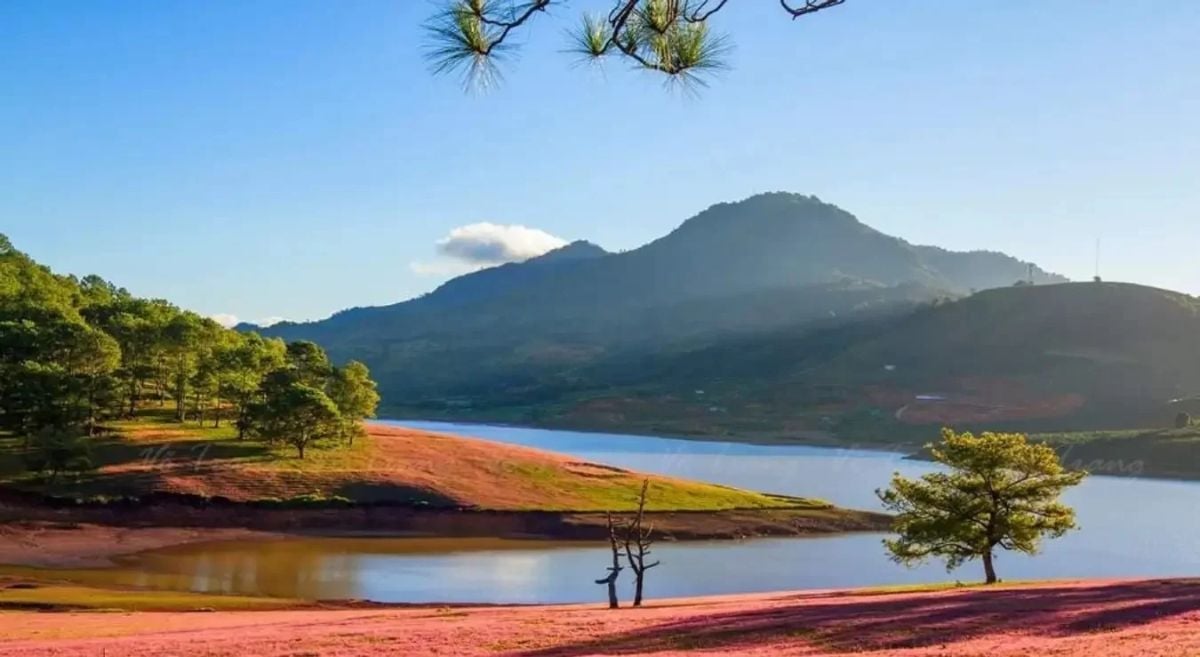 Lệ Quyên Tận Hưởng Thời Gian Nghỉ Dưỡng Tại Đà Lạt Cùng Bạn Trai