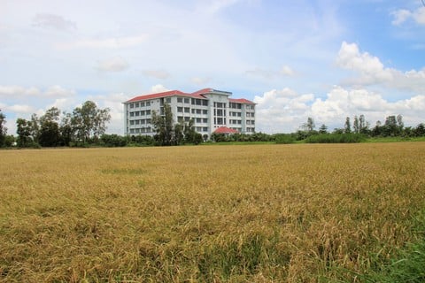 Khủng hoảng trường học tại Hàn Quốc: Tình trạng bỏ hoang và tương lai u ám