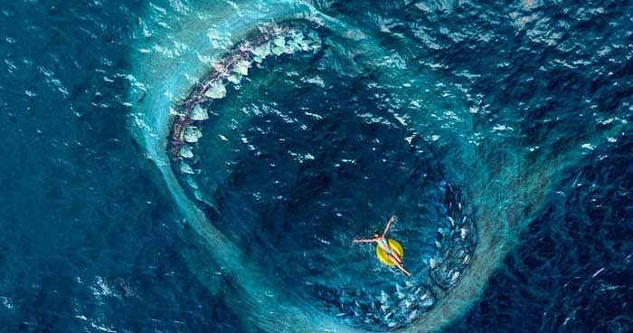 Nỗi Sợ Trắng Tay Khi Về Già: Khảo Sát Mới Tố Cáo Xu Hướng Đáng Lo Ngại Tại Mỹ