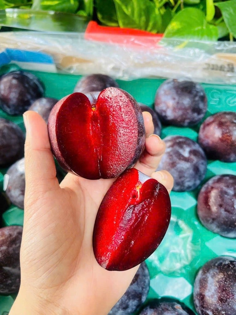 Mùa Mận: Những Món Ngon Khó Cưỡng Với Quả Ngọt