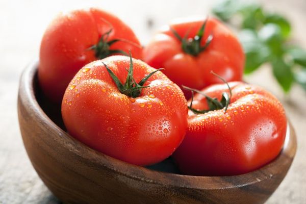 Cà chua tươi ngon sẽ có lớp vỏ còn nguyên vẹn, căng mọng, không trầy xước, vỏ ngoài màu đỏ tươi, đều màu