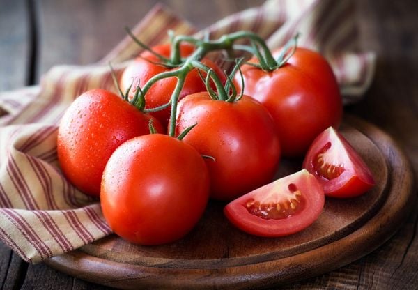 Choose tomatoes with round shape, red skin, thin, glossy, stretchy succulent