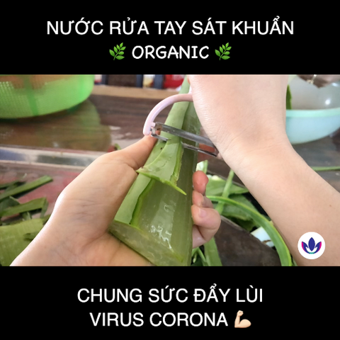 Nước rửa tay sát khuẩn Organic phòng ngừa virus Corona