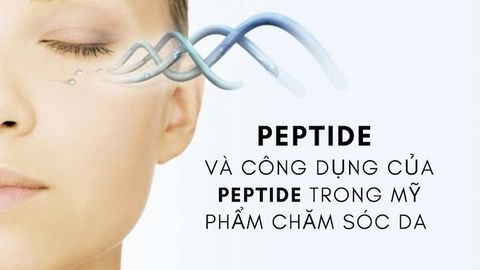 Peptide và công dụng của peptide trong chăm sóc da