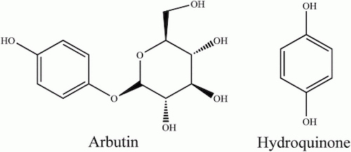 Arbutin và Hydroquinone khác nhau như thế nào