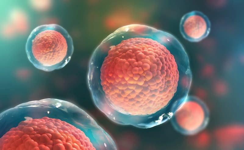Phi kim tế bào gốc có thực sự tốt hay không? 