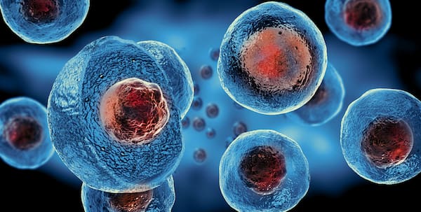 Tế bào gốc là gì