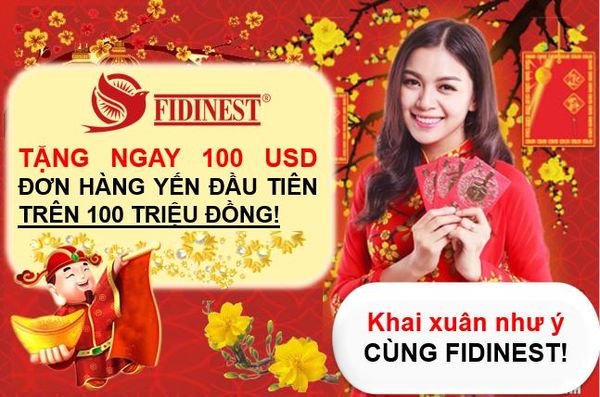CHƯƠNG TRÌNH TẶNG 100 USD KHAI XUÂN NHƯ Ý CÙNG FIDINEST
