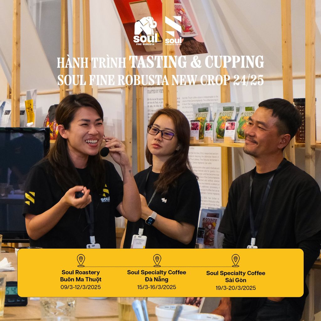 | SOUL RECAP | TASTING & CUPPING SOUL FINE ROBUSTA NEW CROP 24/25