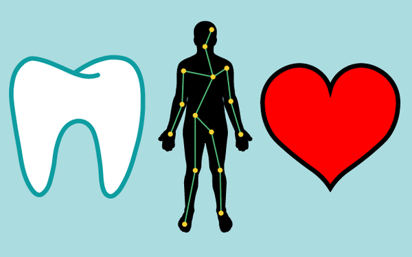 Sức khỏe răng miệng có liên hệ mật thiết với sức khỏe tim mạch.