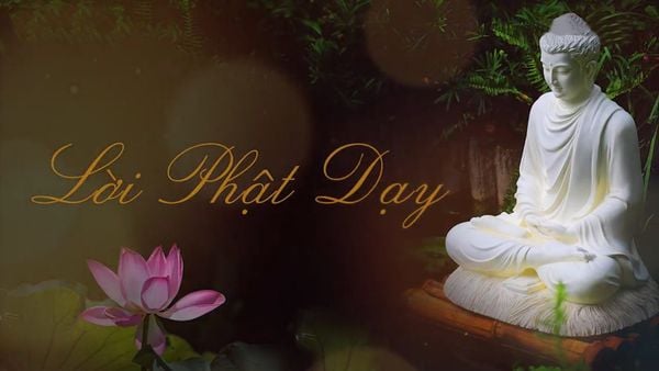 10 Món Quà Mà Người Thường Hay Chia Sẻ Phật Pháp Có Được