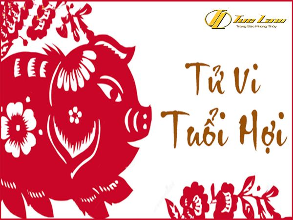 TỬ VI TUỔI HỢI CUỐI NĂM 2019