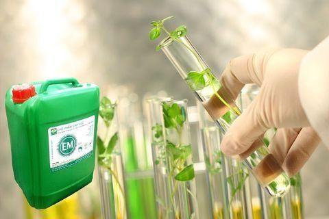 Chế phẩm sinh học và ứng dụng trong nuôi trồng thuỷ sản cá tôm
