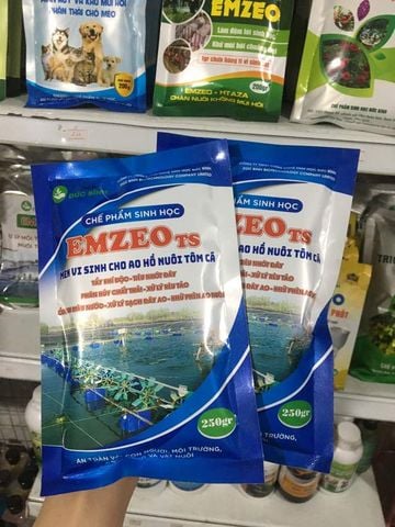 Quy trình ứng dụng chế phẩm EM trong xử lý nước thải nuôi tôm