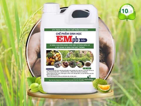 Bật mí bạn loại chế phẩm EM gốc đáng mua nhất
