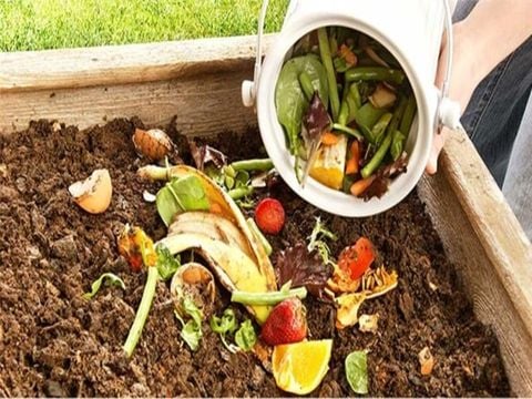 Chế phẩm vi sinh xử lý chất thải hữu cơ là gì ?