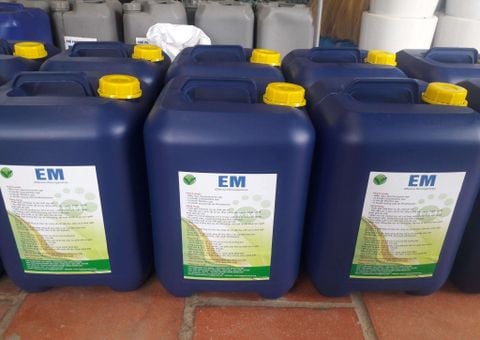 Công nghệ vi sinh EM cải thiện môi trường ao nuôi tôm công nghiệp
