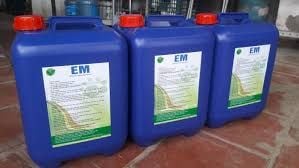 Bật mí bạn cách sử dụng chế phẩm EM hiệu quả