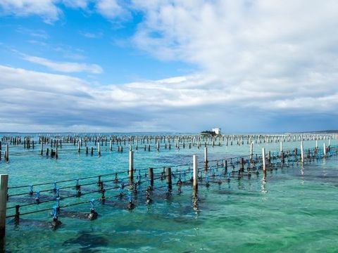 Chia sẻ về công nghệ vi sinh trong nuôi trồng thủy sản 2021