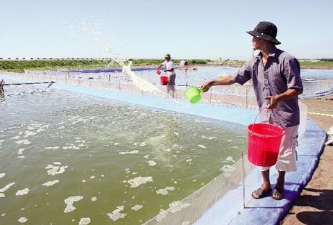 HƯỚNG DẪN ĐIỀU CHẾ CHẾ PHẨM EM2 TỪ CHẾ PHẨM EM GỐC