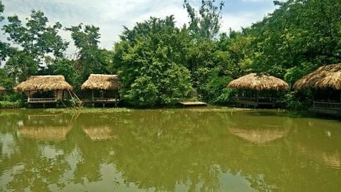 Ứng dụng chế Phẩm EM Trong Xử Lý Môi Trường
