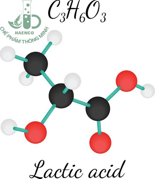 Điều kiện lên men acid lactic từ mật rỉ đường
