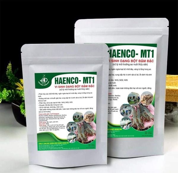 cách nuôi ếch trên cạn