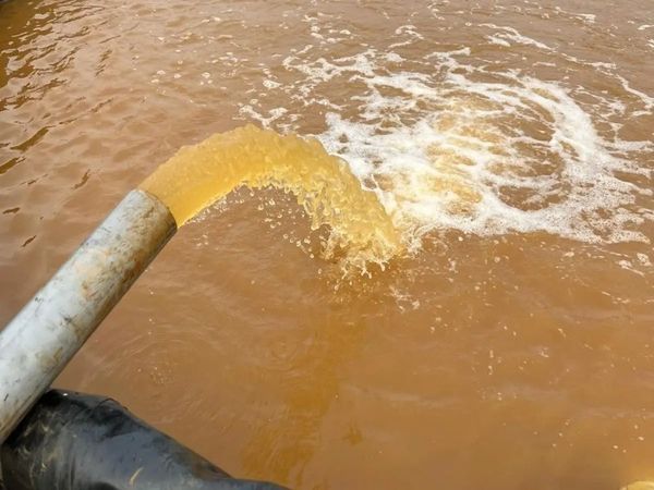 Cách xử lý nước trong ao tôm