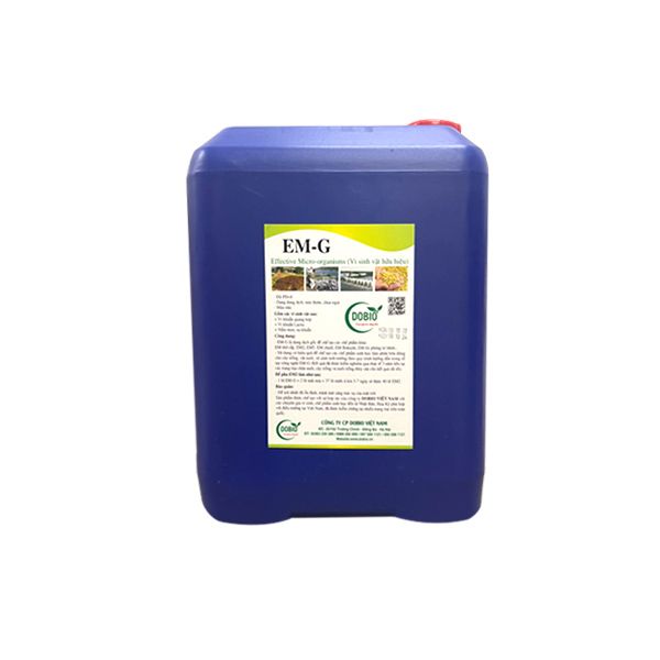 chế phẩm EM gốc nuôi cá tra giống