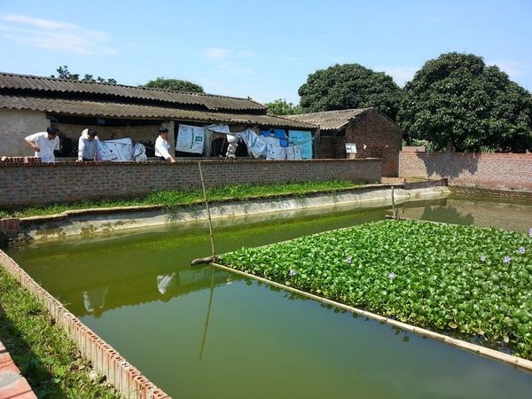 chế phẩm EM xử lý nước ao