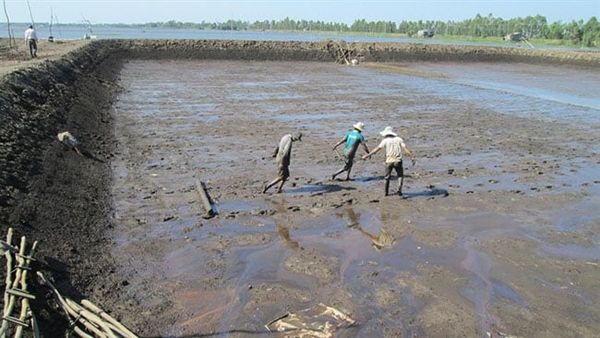 EM thứ cấp trong xử lý bùn đáy ao