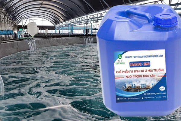 chế phẩm EM trong xử lý nước thải nuôi tôm