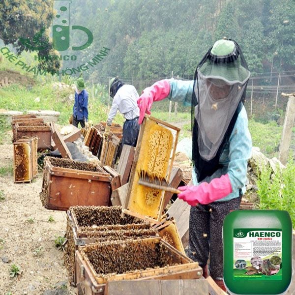 Người nuôi ong mật