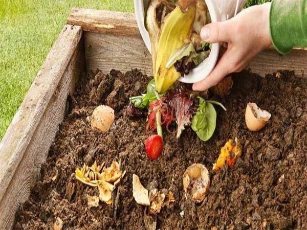 Chế phẩm vi sinh xử lý chất thải hữu cơ
