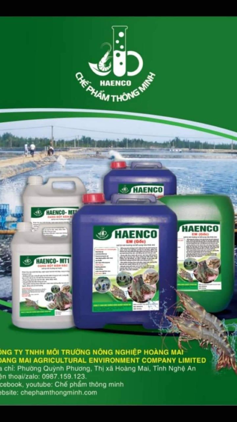 Thức ăn của tôm là gì