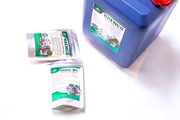Thức ăn của tôm là gì