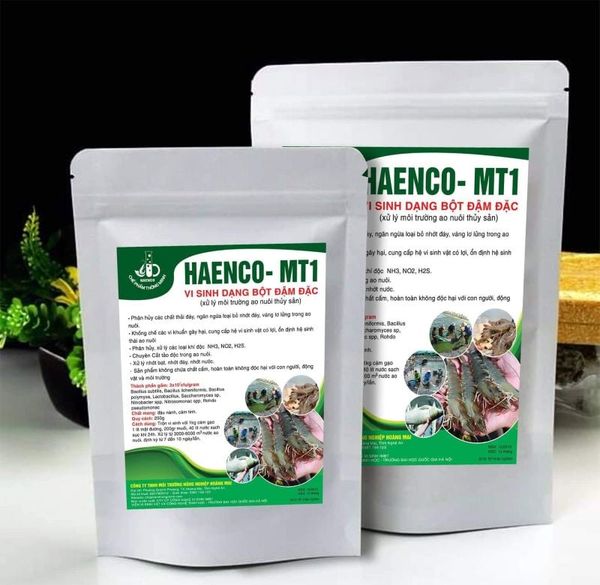 xử lý nước nuôi tôm thẻ chân trắng