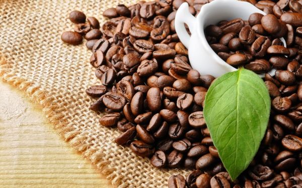 TỔNG QUAN KIẾN THỨC CÀ PHÊ VÀ CÁCH PHA CÀ PHÊ PHIN NGON ĐẬM VỊ 3 Tổng Quan Kiến Thức Cà Phê Và Cách Pha Cà Phê Phin Ngon Đậm Vị