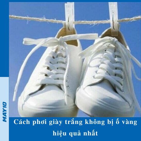 [Bật mí] cách phơi giày trắng không bị ố vàng hiệu quả nhất