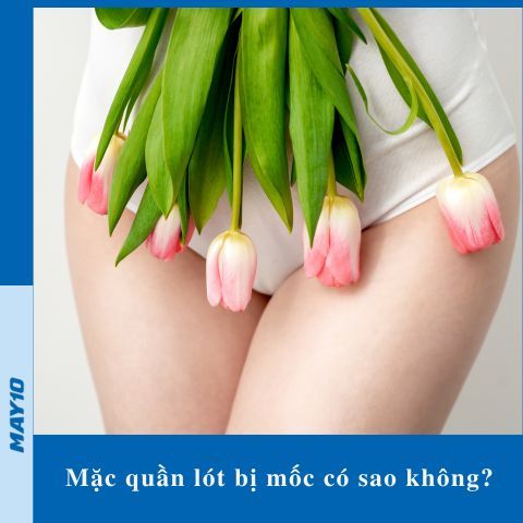 Mặc quần lót bị mốc có sao không? 4 hậu quả khôn lường cần biết
