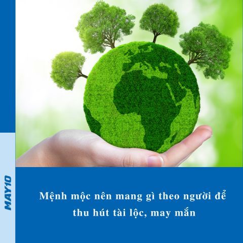 [Giải mã] Mệnh mộc nên mang gì theo người để thu hút tài lộc, may mắn