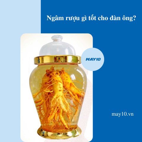 Ngâm rượu gì tốt cho đàn ông? 5 loại rượu tăng sường sinh lý tốt nhất