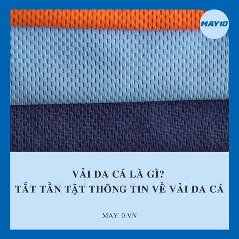 Vải Da Cá Là Gì? Tất Tần Tật Thông Tin Về Vải Da Cá