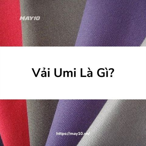 Vải Umi Là Vải Gì? [A-Z] Thông Tin Đầy Đủ Nhất Về Vải Umi