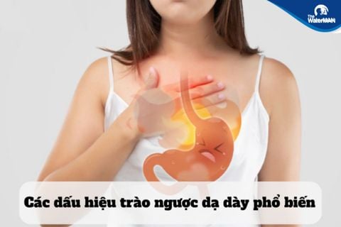 Mách nhỏ các loại nước nên uống để tránh trào ngược dạ dày