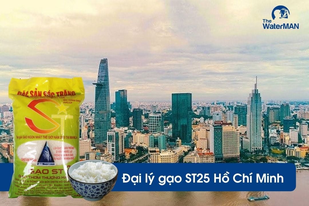 Top 10 đại lý gạo ST25 uy tín tại TP.HCM