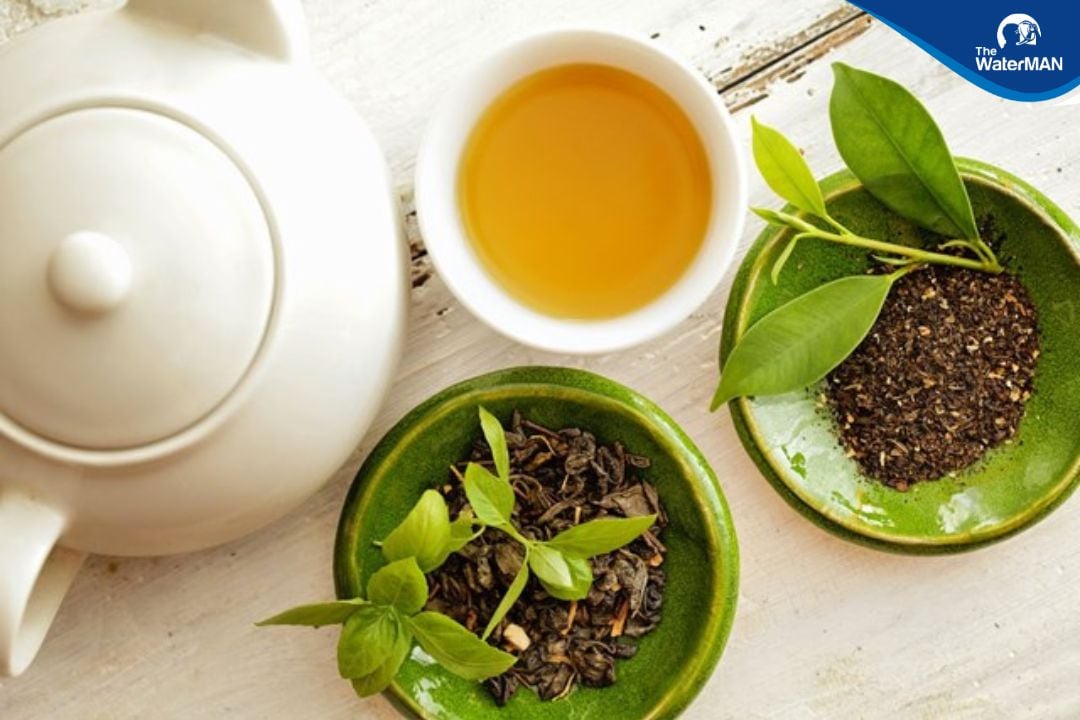 Trà túi lọc - trà tươi - trà khô, loại nào tốt hơn?